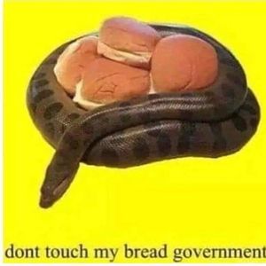 Meet your Posher, Carlos